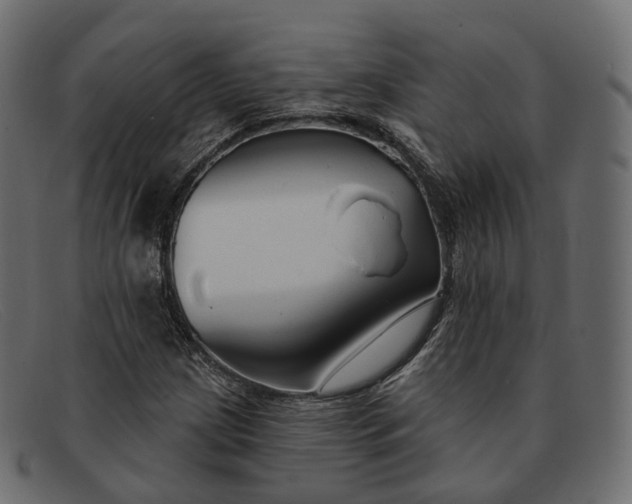X0000091891209200709191210