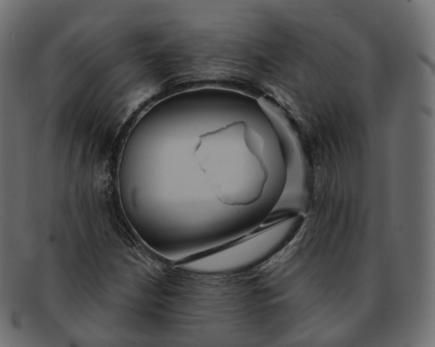 X0000091891210200709191210