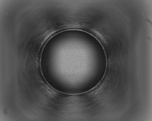 X0000091891212200709191210