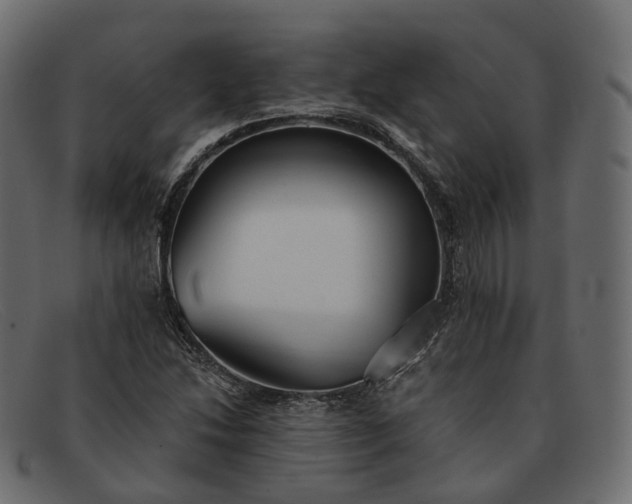 X0000091891214200709191210