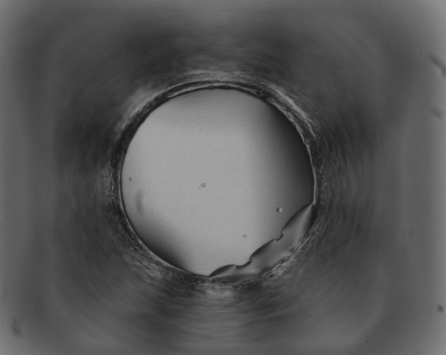 X0000091891215200709191210