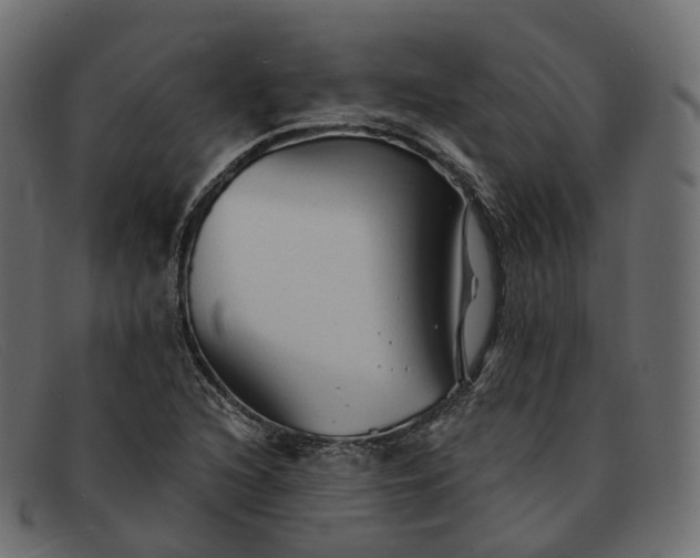 X0000091891216200709191210