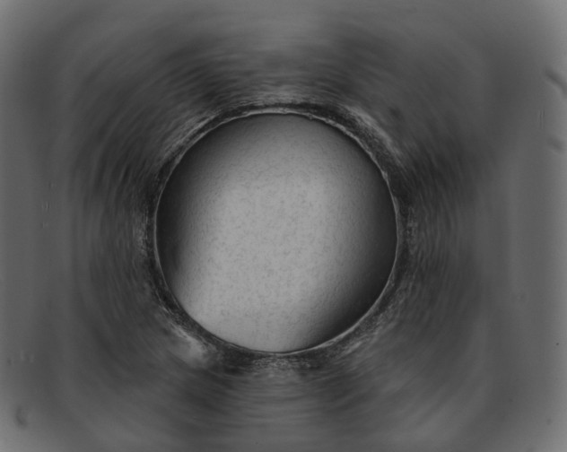 X0000091891217200709191210