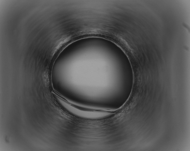 X0000091891218200709191210
