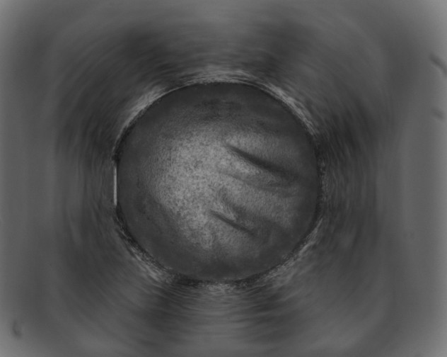X0000091891219200709191210