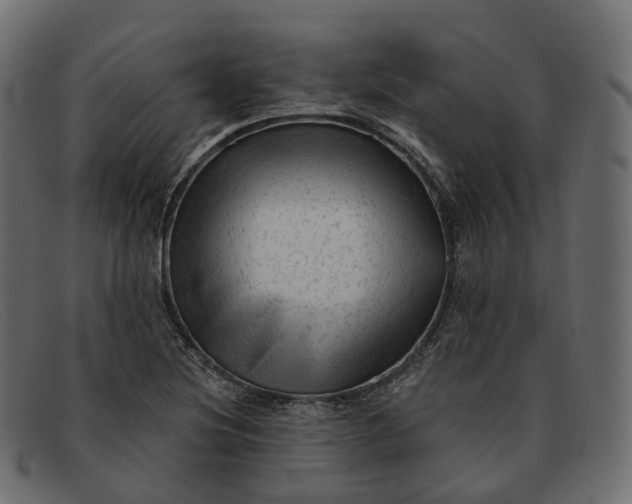 X0000091891220200709191210