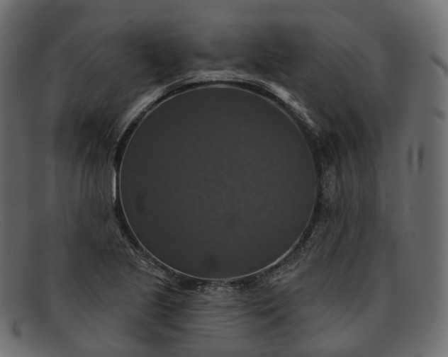 X0000091891221200709191210
