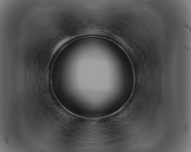 X0000091891222200709191210