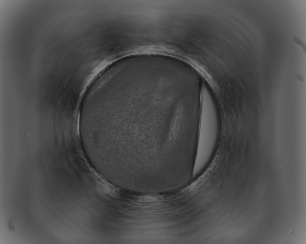 X0000091891224200709191210