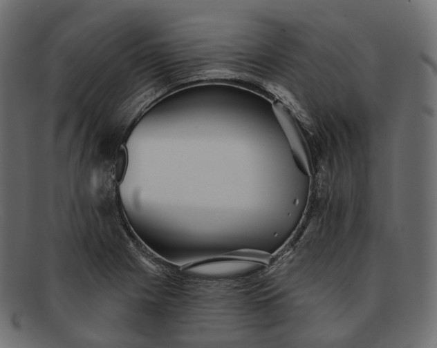 X0000091891225200709191210
