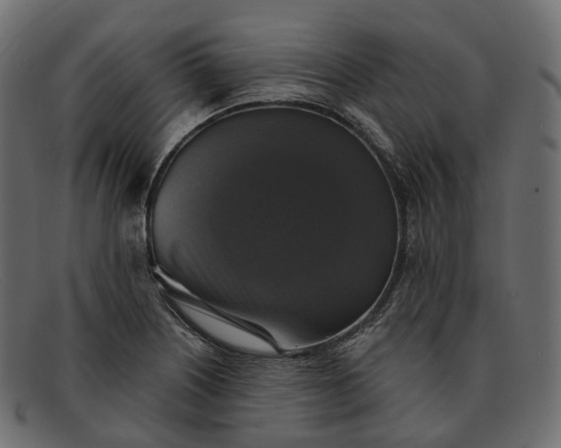 X0000091891226200709191210
