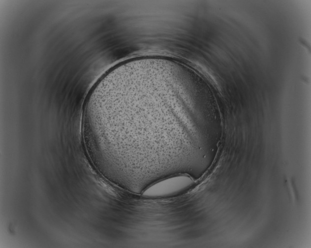 X0000091891228200709191210