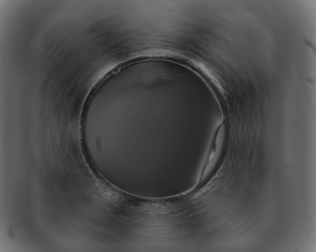 X0000091891229200709191210