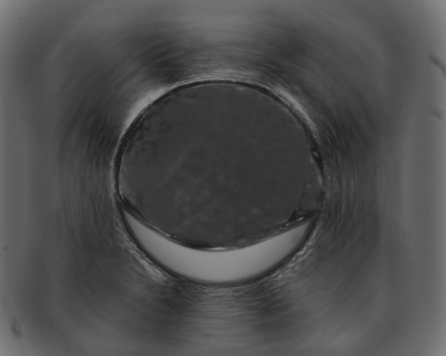X0000091891230200709191210