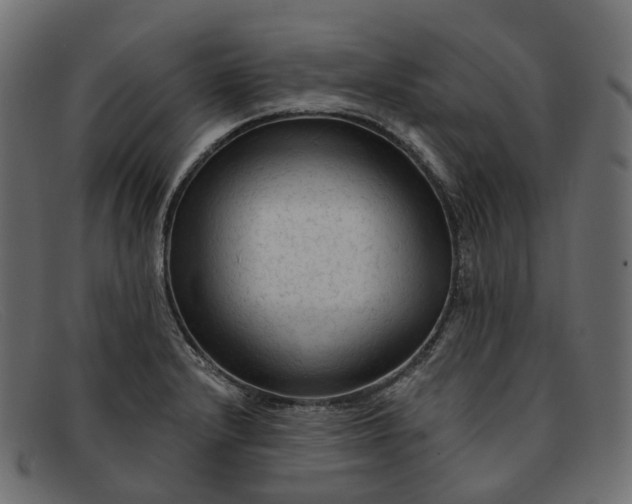 X0000091891232200709191210