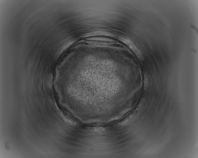 X0000091891233200709191211