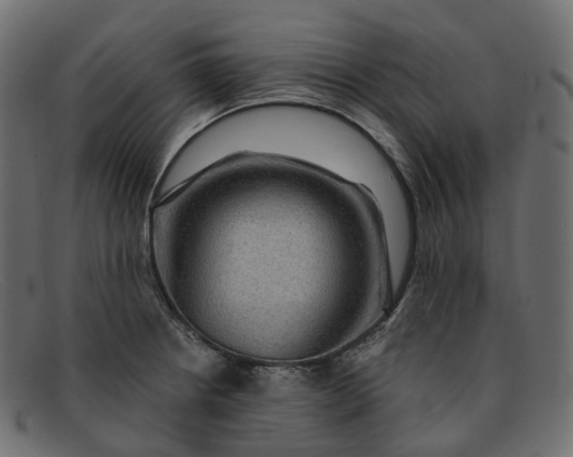 X0000091891234200709191211