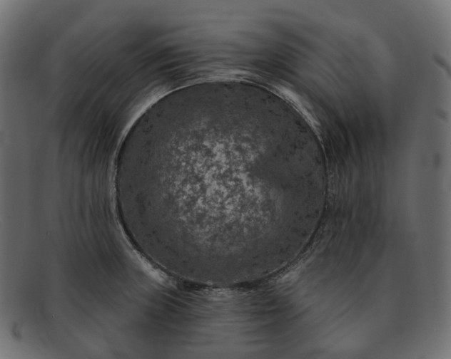 X0000091891235200709191211