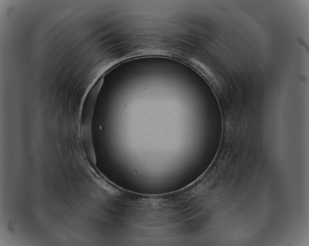 X0000091891236200709191211