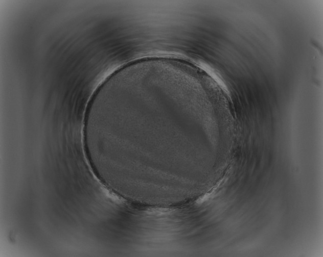 X0000091891237200709191211