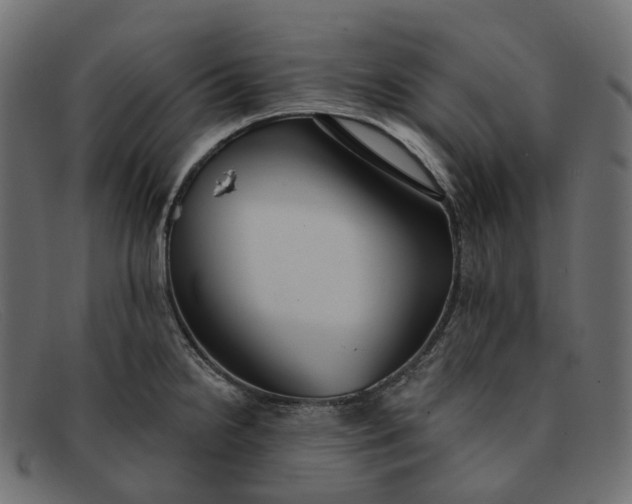 X0000091891238200709191211