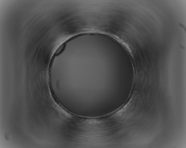 X0000091891239200709191211