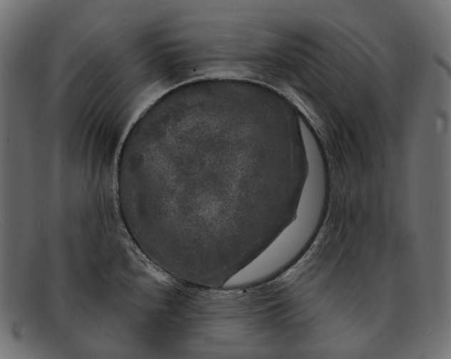 X0000091891240200709191211