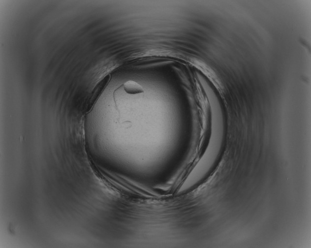 X0000091891241200709191211