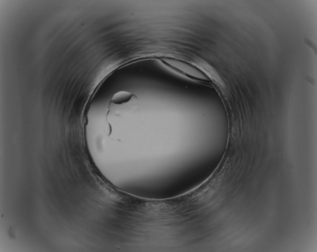X0000091891242200709191211
