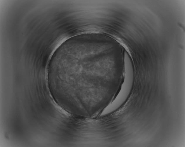 X0000091891243200709191211