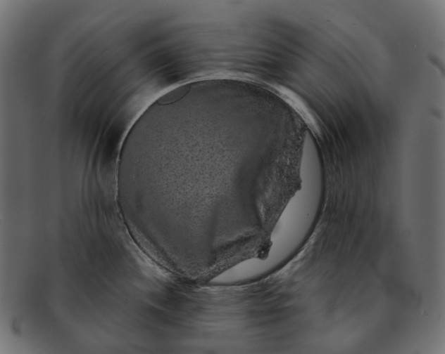 X0000091891244200709191211