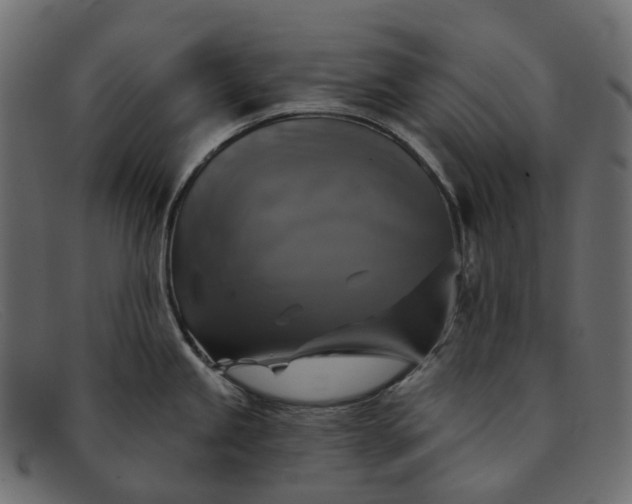 X0000091891245200709191211