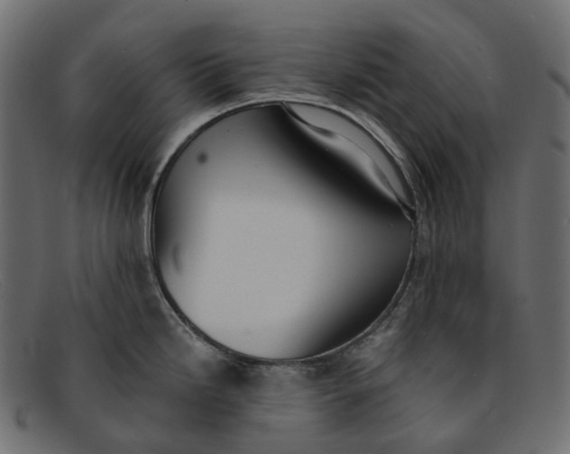 X0000091891246200709191211
