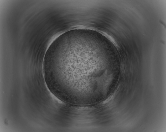 X0000091891247200709191211