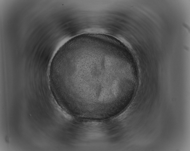X0000091891248200709191211