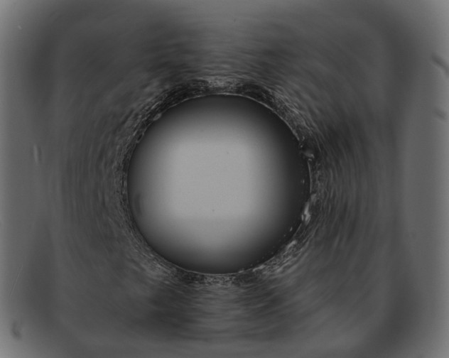 X0000091891249200709191210