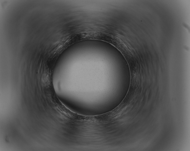 X0000091891250200709191210