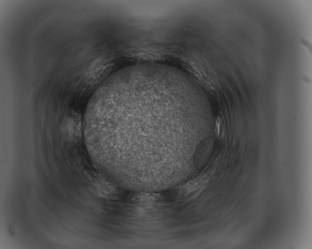 X0000091891251200709191210
