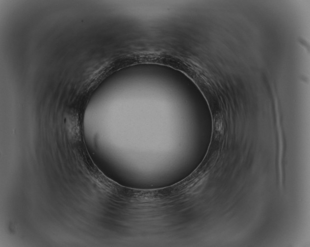 X0000091891252200709191210