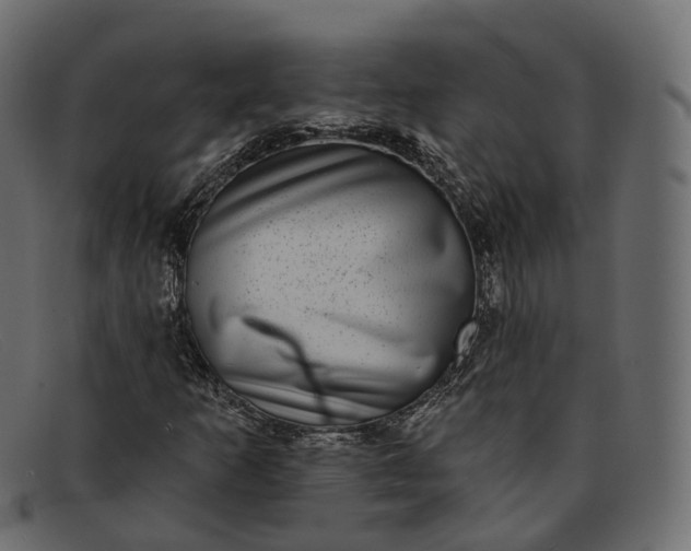 X0000091891253200709191210