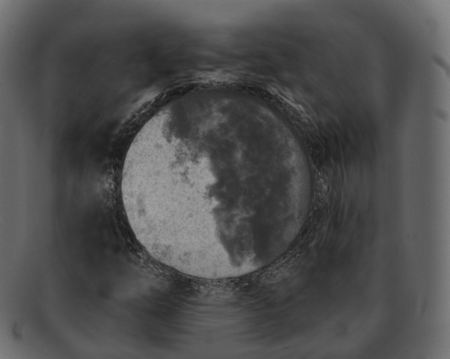 X0000091891254200709191210