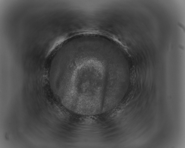 X0000091891255200709191210