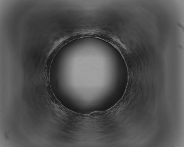X0000091891256200709191210