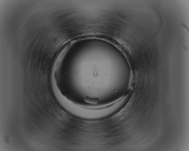 X0000091891257200709191210