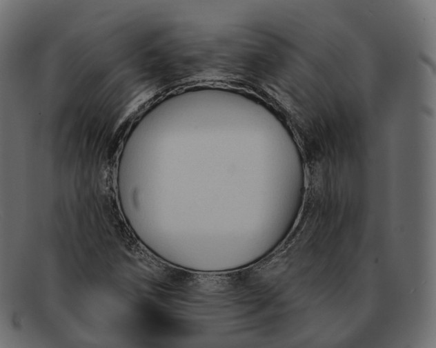 X0000091891258200709191210