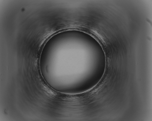 X0000091891260200709191210