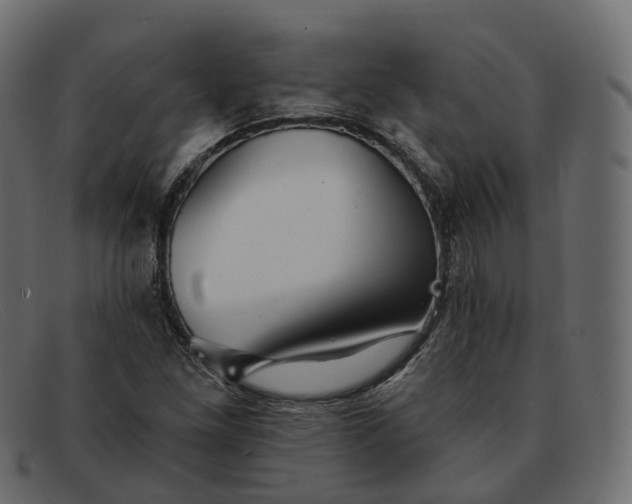 X0000091891261200709191210