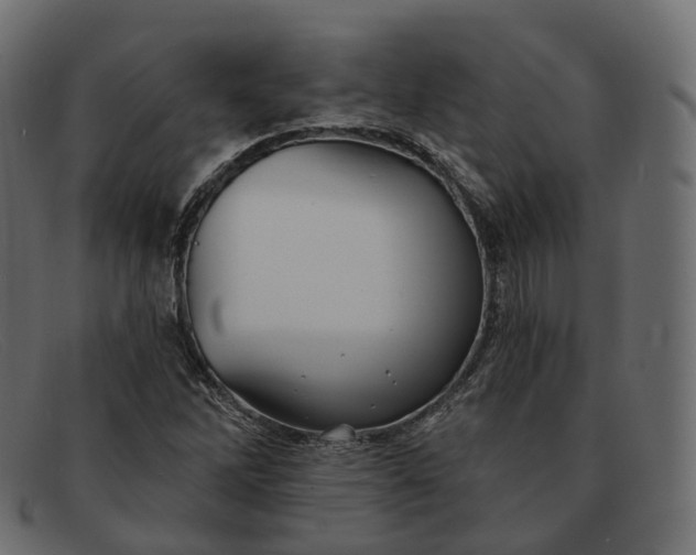 X0000091891262200709191210