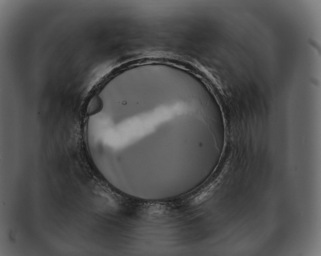 X0000091891263200709191210