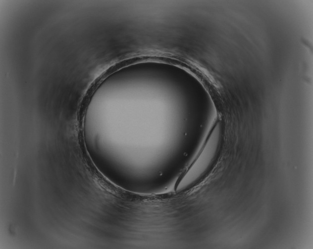 X0000091891264200709191210